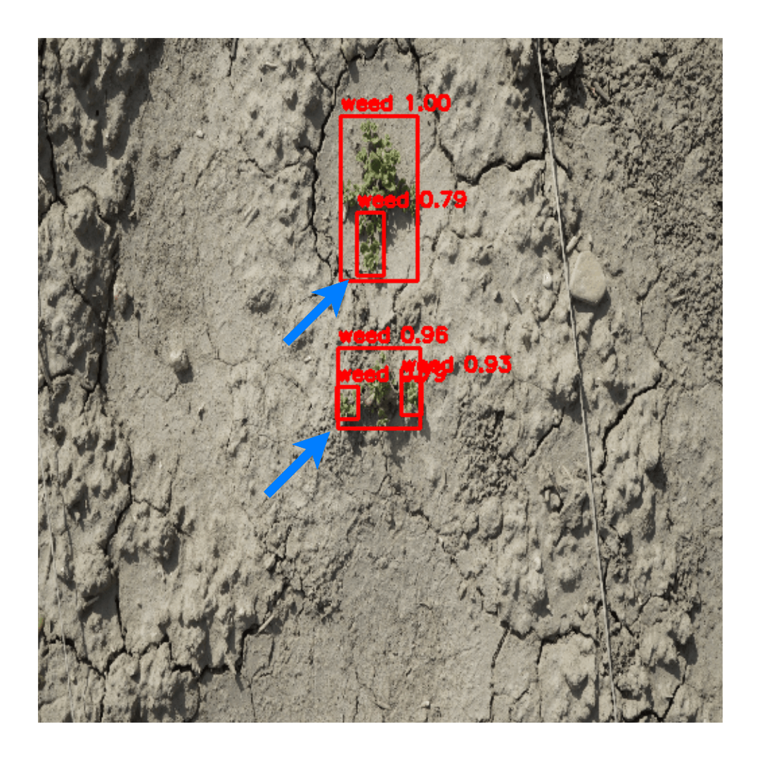 AgriMAE pixel detection
