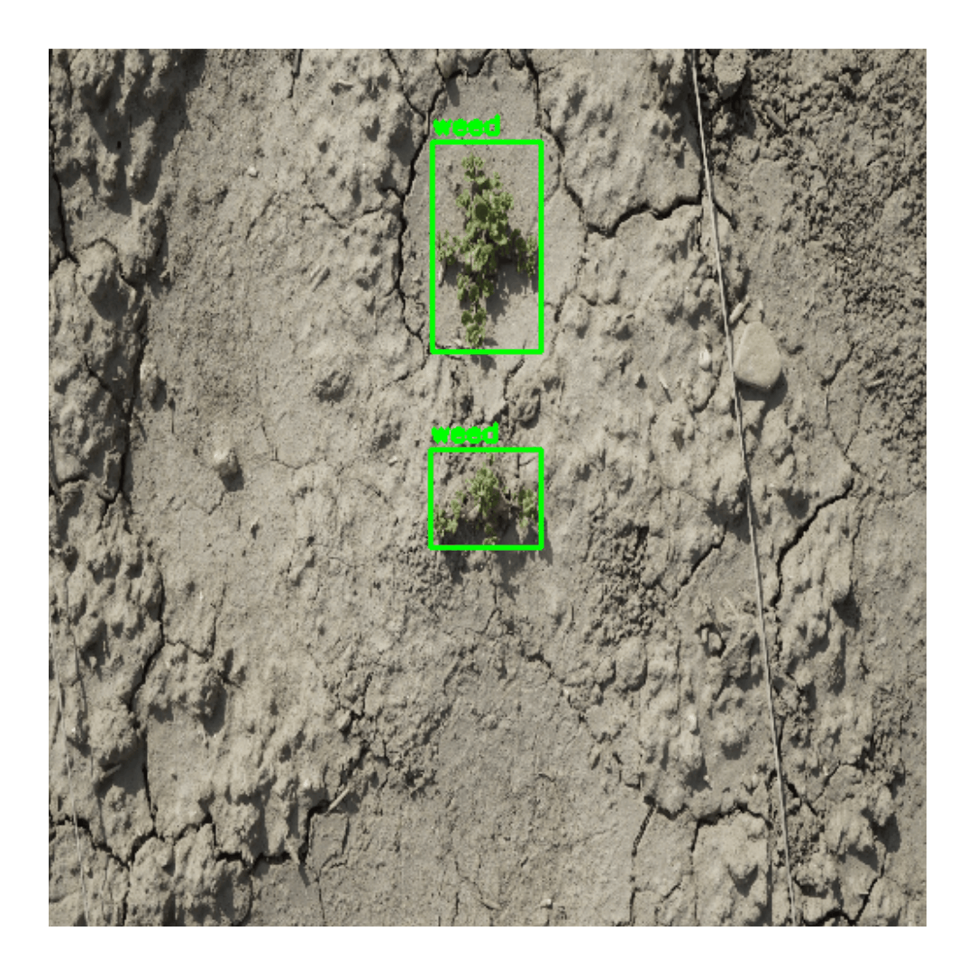 detection ground truth