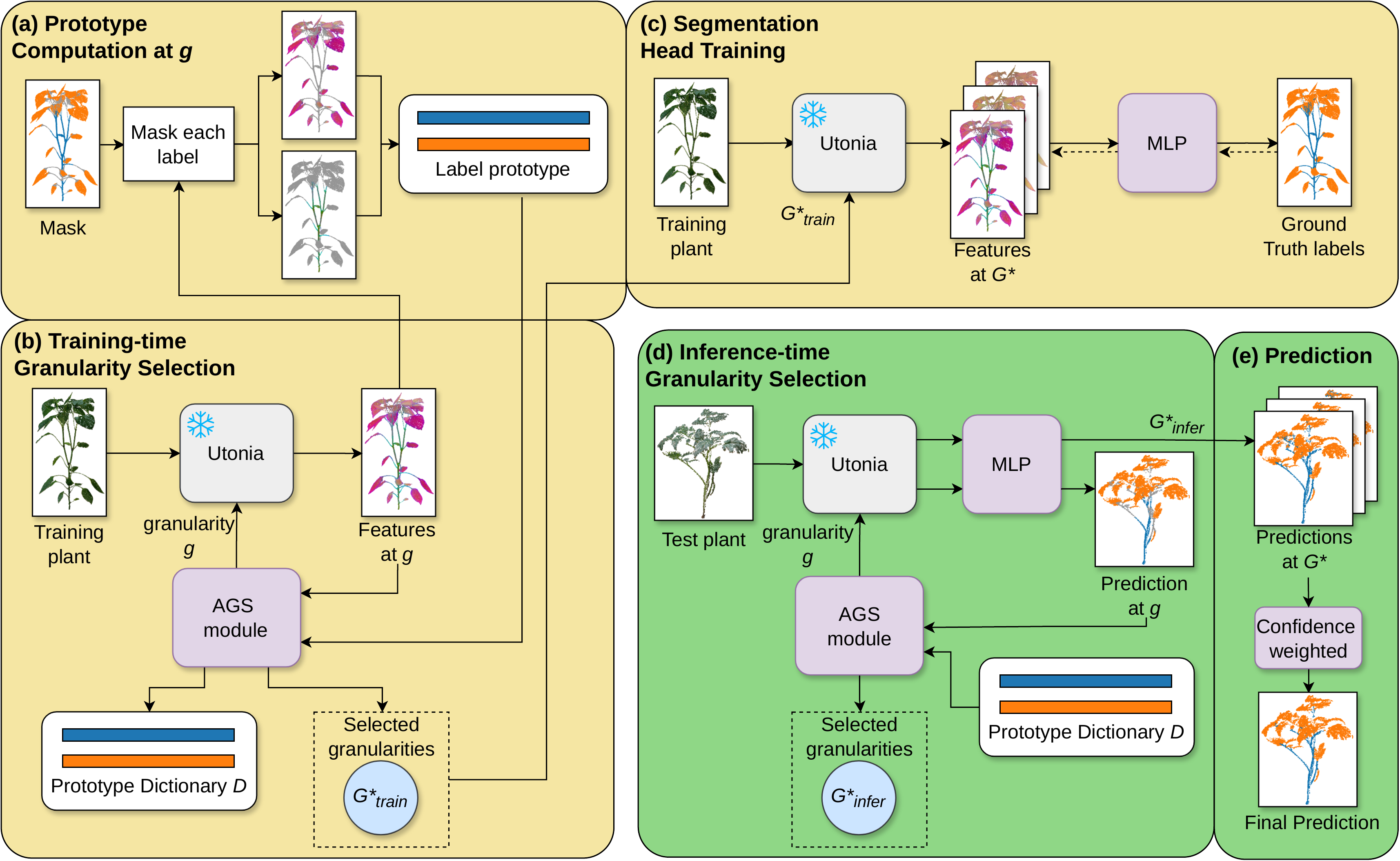 AGS-PlantSeg method diagram: prototype computation, training-time and inference-time granularity selection, segmentation head training, and confidence-weighted prediction