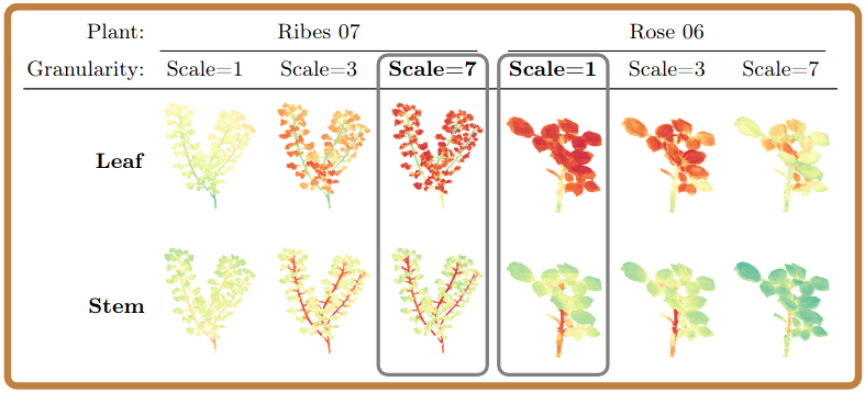 Effect of granularity/scale selection on leaf and stem point segmentation for Ribes and Rose plants